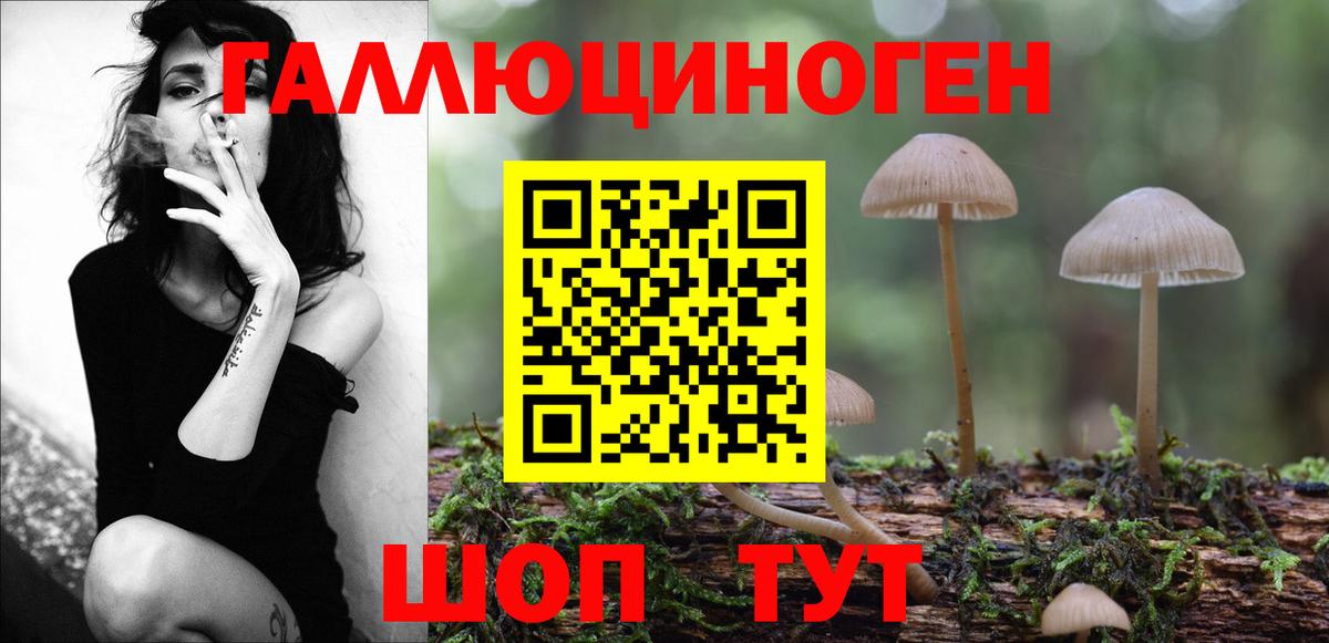 Галлюциногенные грибы Psilocybe  Вход с VPN  Карпинск 