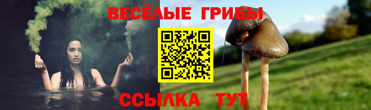 Галлюциногенные грибы мухоморы Карпинск
